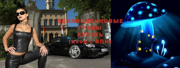 гашик Балабаново