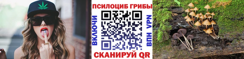 Псилоцибиновые грибы MAGIC MUSHROOMS  Кулебаки 