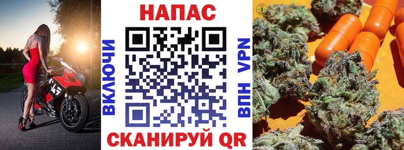 kraken как войти  где можно купить   Кулебаки  Каннабис индика 